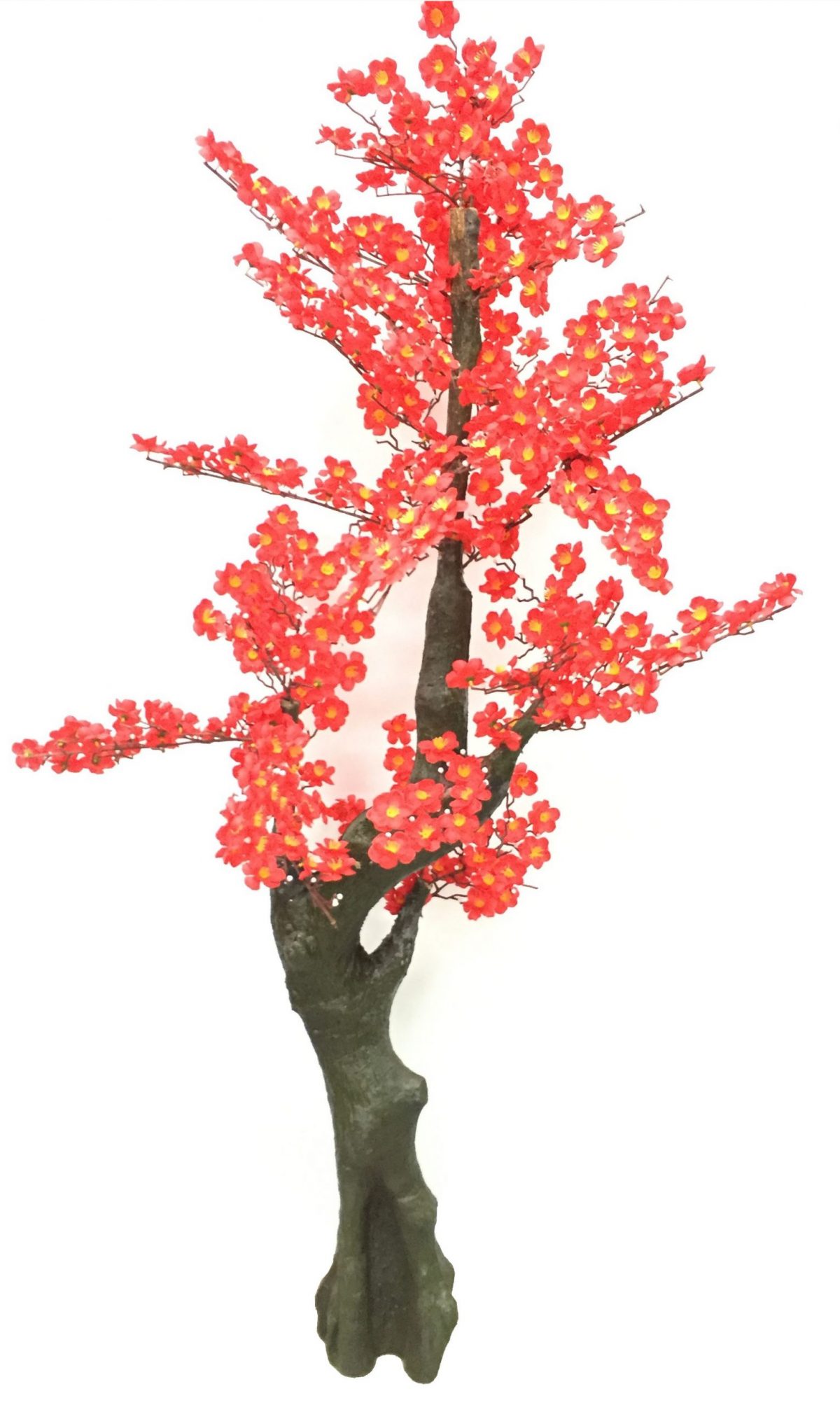 Decorative red flower blossom tree